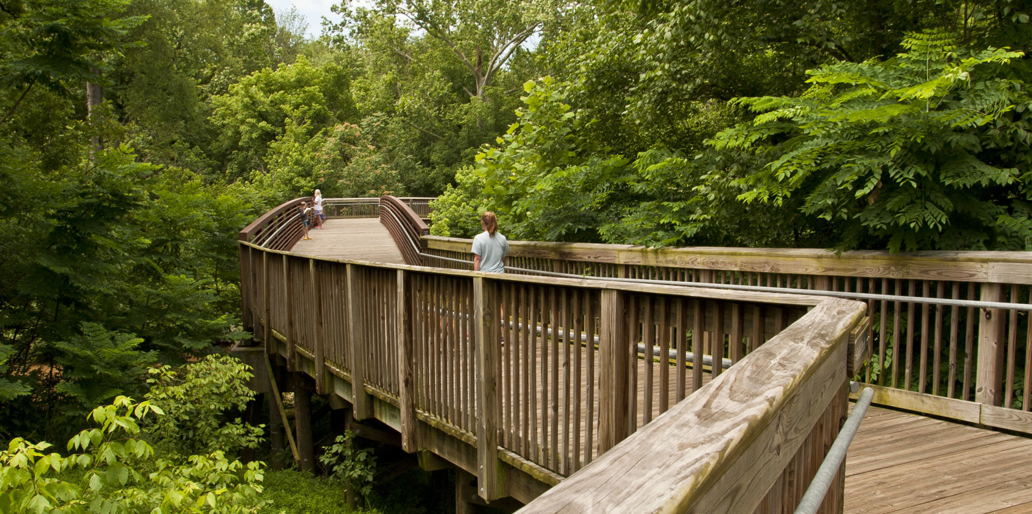 Hillsborough Mountains-to-Sea Trail